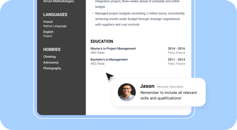 Expert CV Review